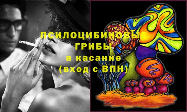 тгк Осинники